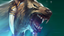 [Spirit_Bear]