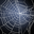 [Broodmother_Spin_Web_32px]