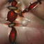 [Pudge_Flesh_Heap]