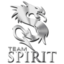 [team_Team_Spirit]